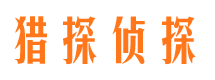 滨江调查事务所